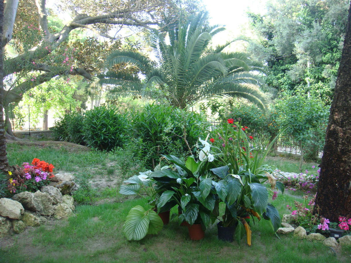 Villa La Cucullera Catanzaro Zewnętrze zdjęcie